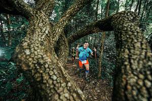 BIB: 
                            <button type="button" onclick="openModal(25392635)" class="btn btn-primary btn-sm float-right btn-popup" data-toggle="modal" data-target=".modal-high-quality">
                        <i class="fas fa-shopping-cart"></i> Add to Cart
                    </button>
                                            <button type="button" onclick="isThisMe(25392635, true)" class="btn btn-success btn-sm float-right btn-popup btn-isme hidden" data-toggle="tooltip" data-placement="bottom" title="นี่คือรูปของคุณใช่ไหม คลิกที่นี่เพื่อเอาเข้าอัลบั้ม">
                        <i class="fas fa-plus"></i> Add to album
                    </button>
                    <button type="button" onclick="isThisMe(25392635, false)" class="btn btn-warning btn-sm float-right btn-popup btn-isnotme hidden">
                        <i class="fas fa-ban"></i> Remove from album
                    </button>